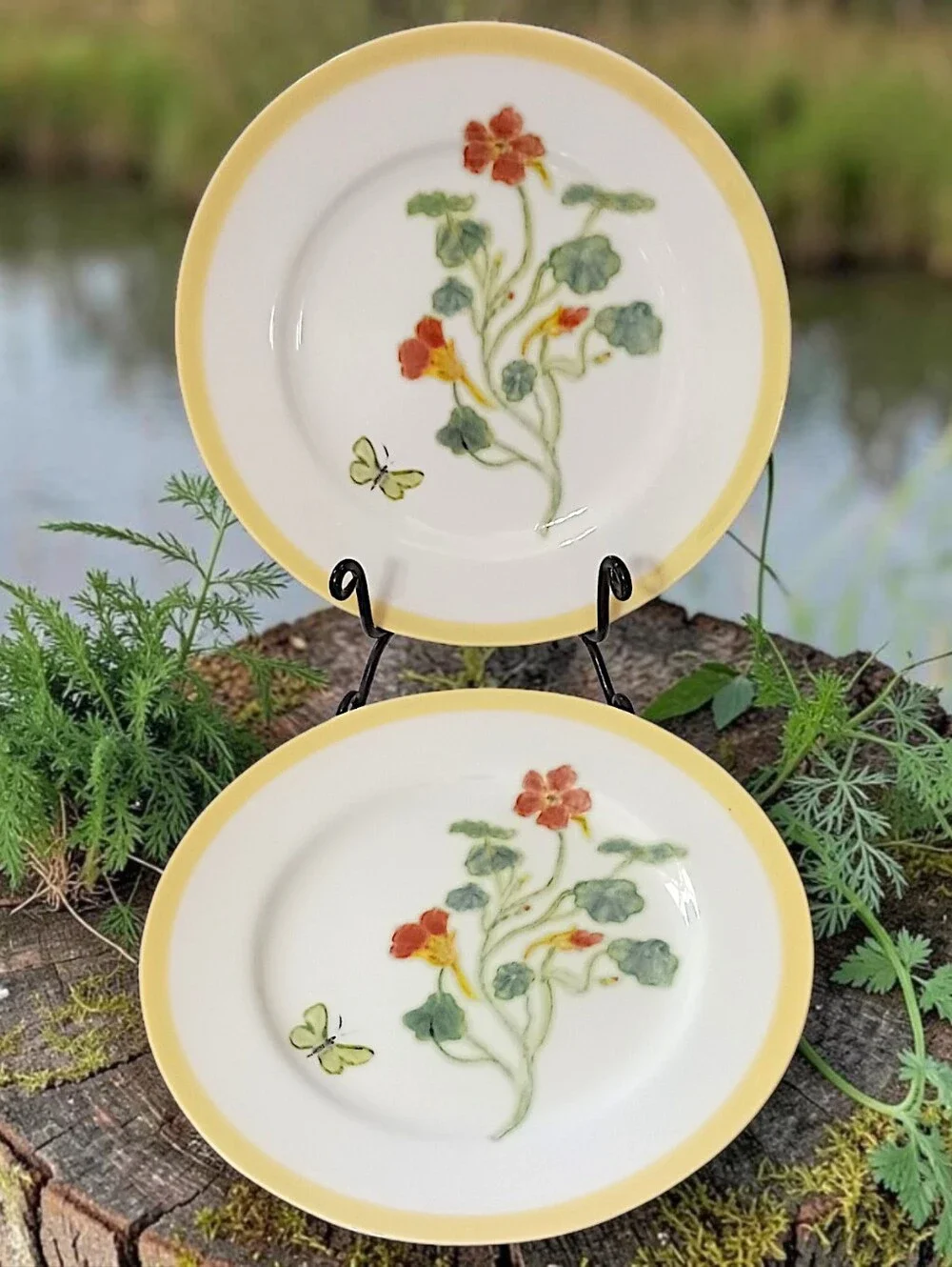 2 Williams Sonoma Flowering Herbs Salad Plates Purple Herb Flowers Nasturtium